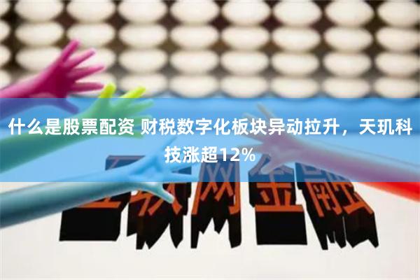 什么是股票配资 财税数字化板块异动拉升，天玑科技涨超12%