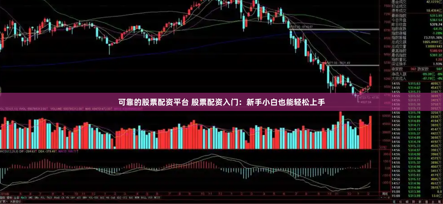 可靠的股票配资平台 股票配资入门：新手小白也能轻松上手