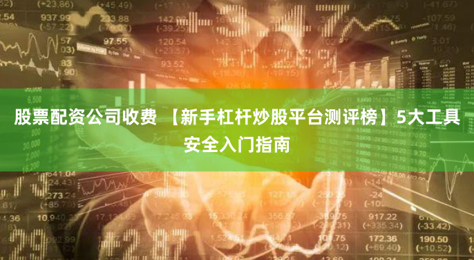 股票配资公司收费 【新手杠杆炒股平台测评榜】5大工具安全入门指南