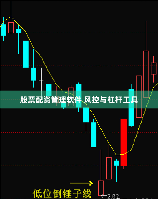 股票配资管理软件 风控与杠杆工具
