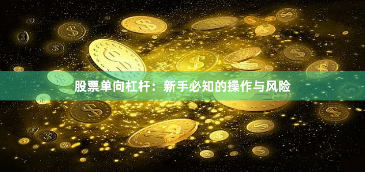 股票单向杠杆：新手必知的操作与风险
